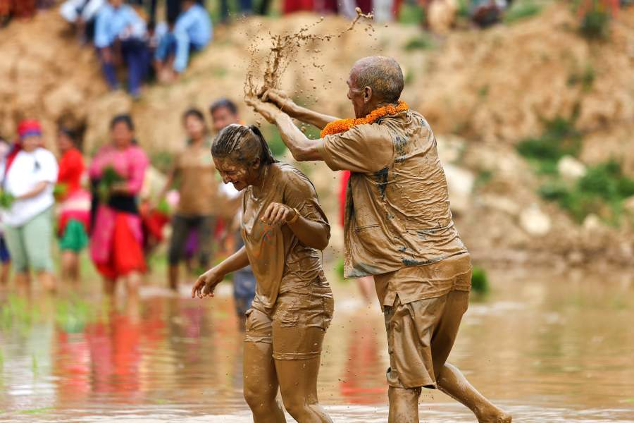 Фестиваль посадки риса  в Непале