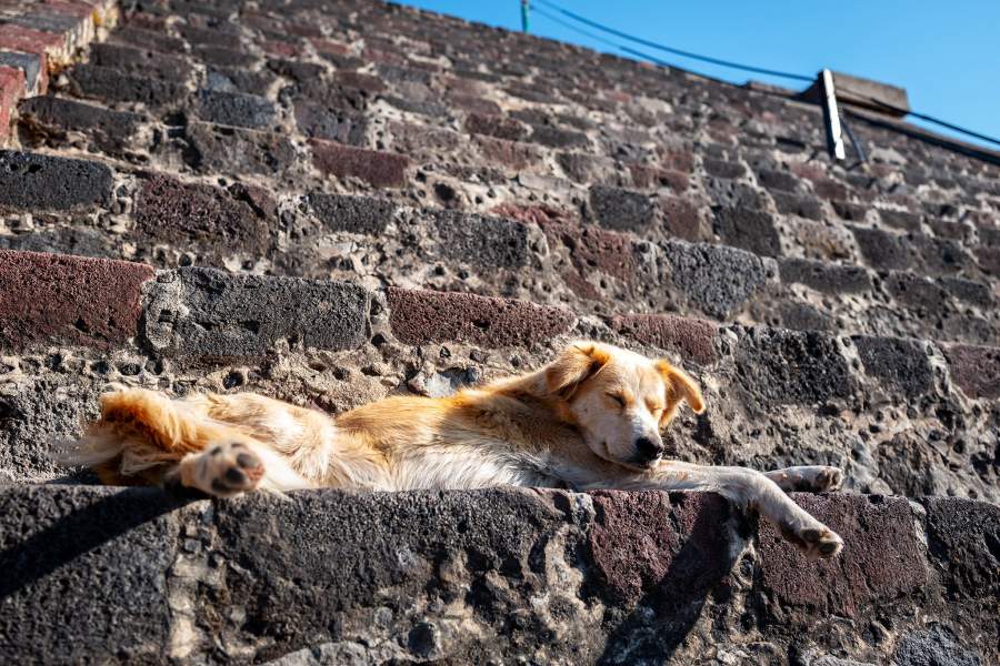 Теотиуакан-де-Ариста, пирамида Солнца