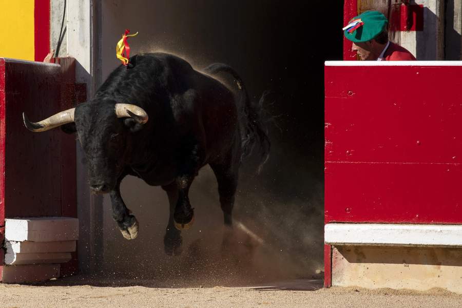Фестиваль Сан-Фермин в Испании