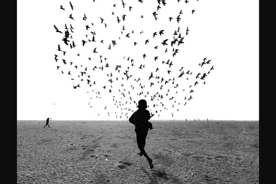 Фотоконкурс iPhone Photography Awards 2019