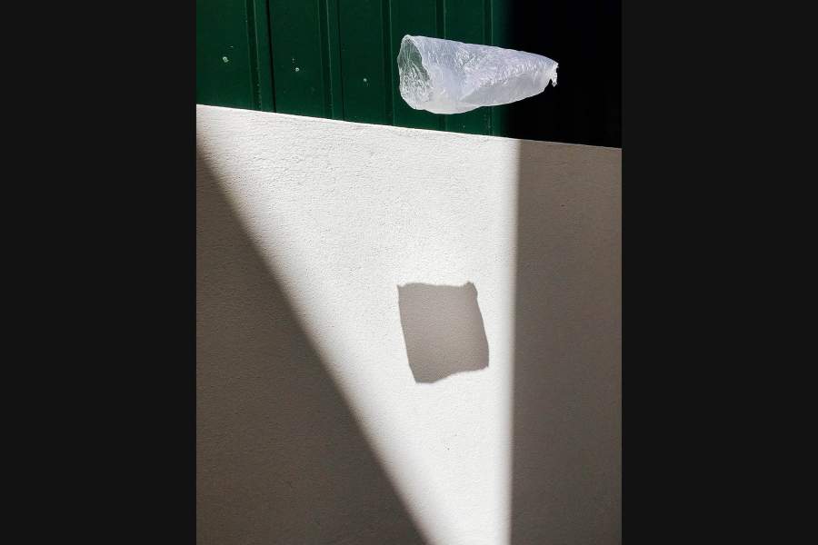 Первое место в номинации «Натюрморт» досталось живущей в ФРГ уроженке Замбии со сложным именем Кларита-Мария Фири-Байердорффер