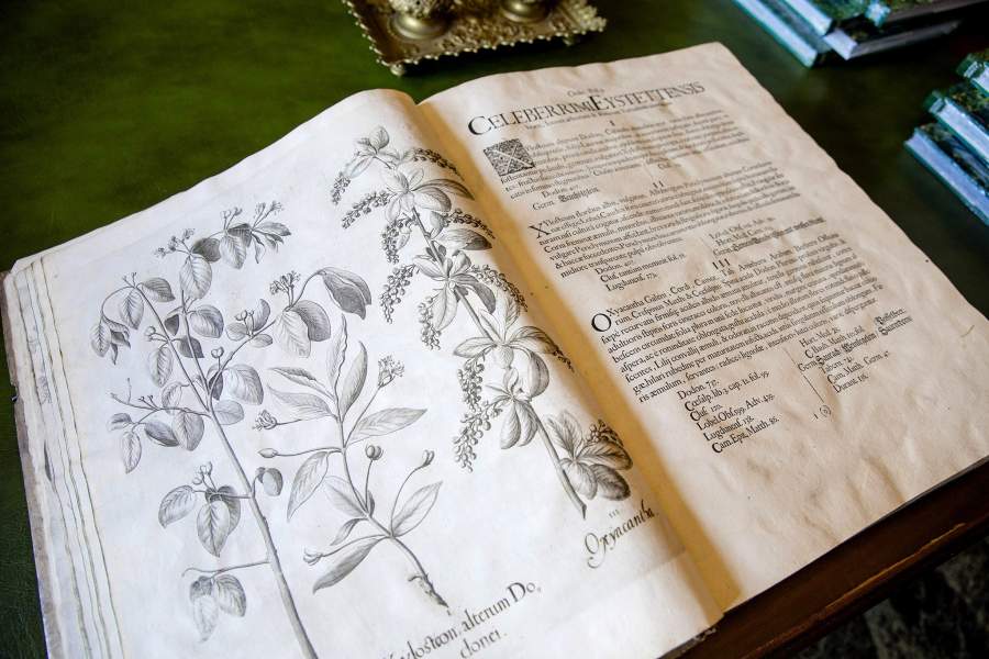 Вилла Les Cèdres