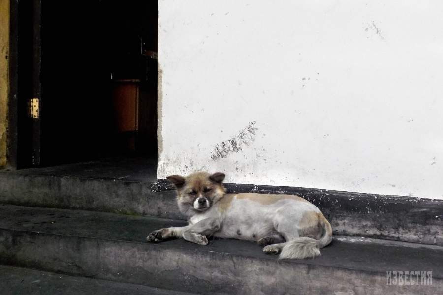 Фабрика туши в Китае