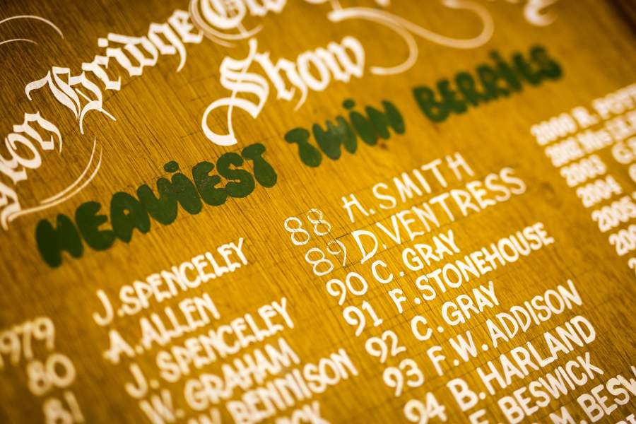 Фестиваль крыжовника в Англии