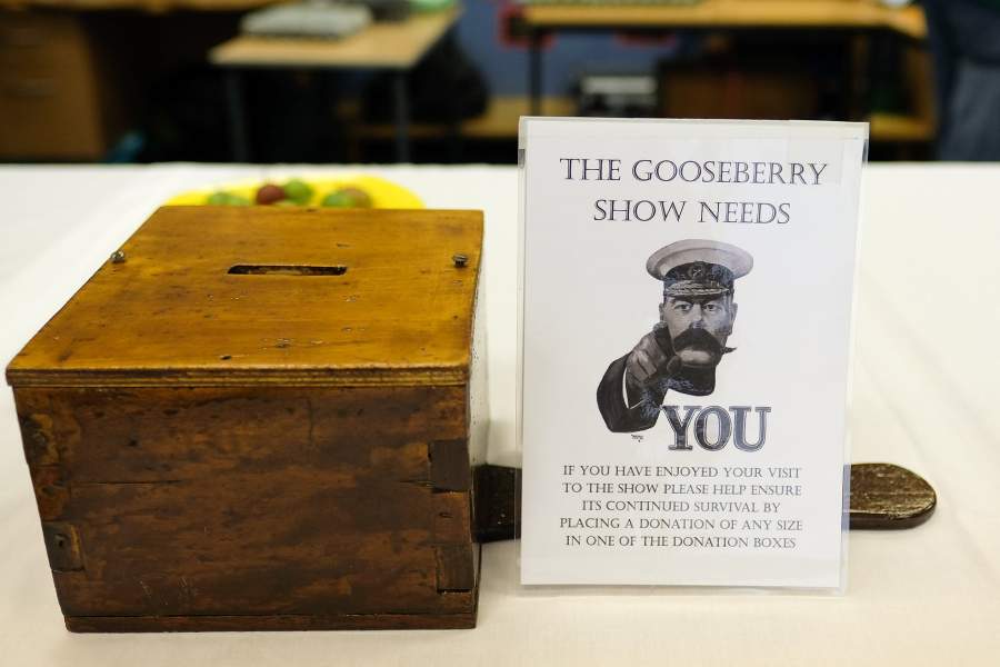 Фестиваль крыжовника в Англии