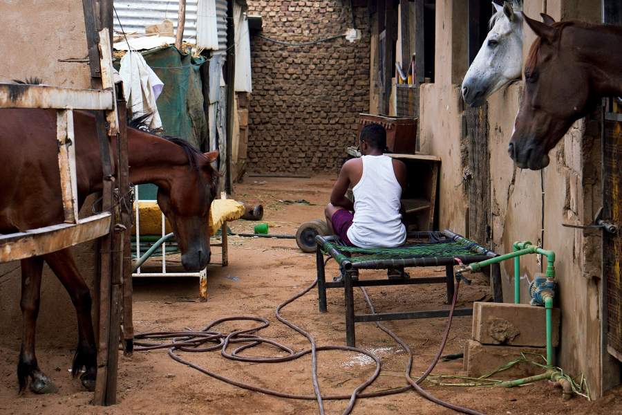 Конно-спортивный клуб в Судане