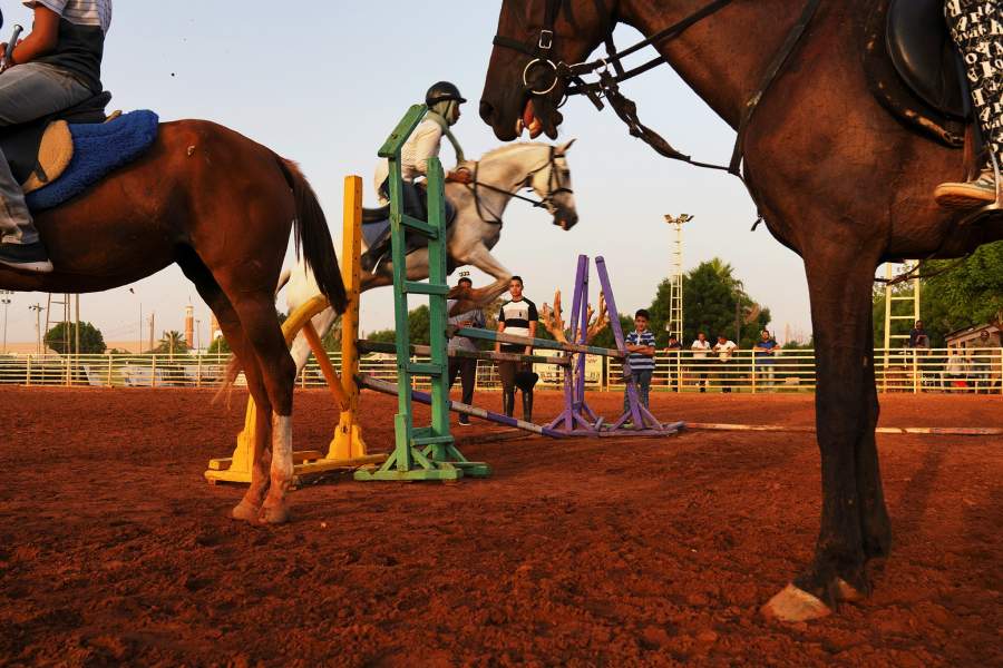 Конно-спортивный клуб в Судане