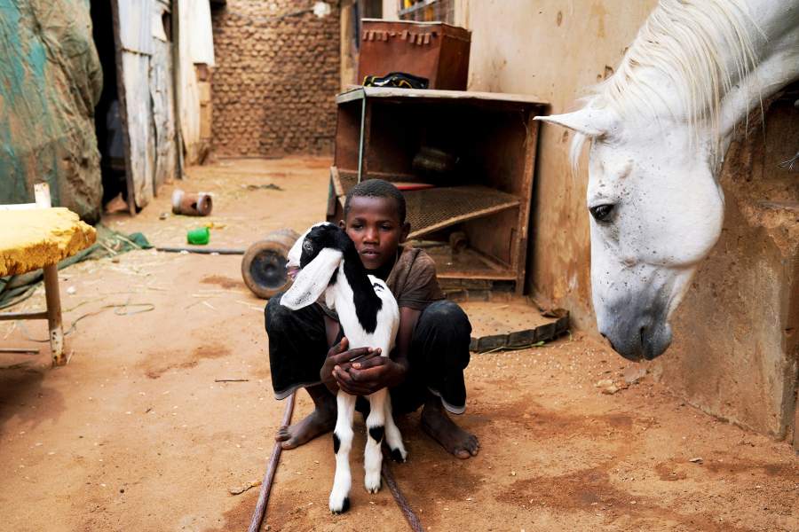 Конно-спортивный клуб в Судане