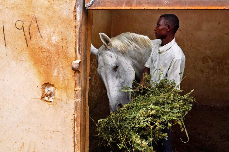 Конно-спортивный клуб в Судане