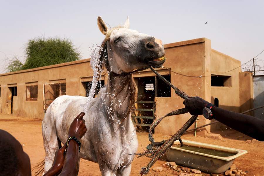 Конно-спортивный клуб в Судане