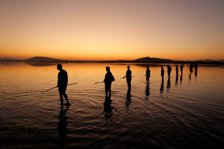 Фламинго в Испании