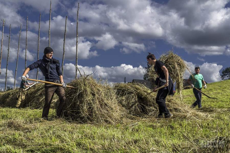 Кенозерский национальный парк