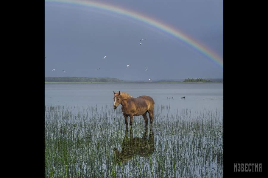 Кенозерский национальный парк
