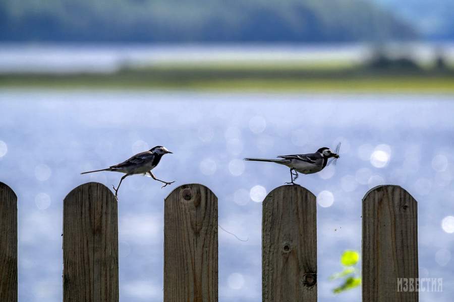 Кенозерский национальный парк