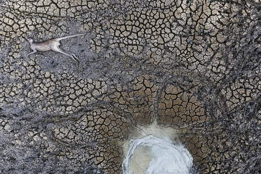 Australian Geographic Nature Photographer