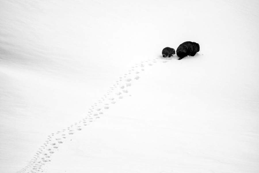 Australian Geographic Nature Photographer