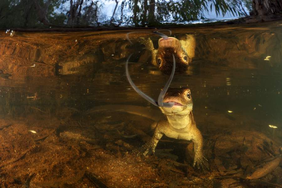 Australian Geographic Nature Photographer