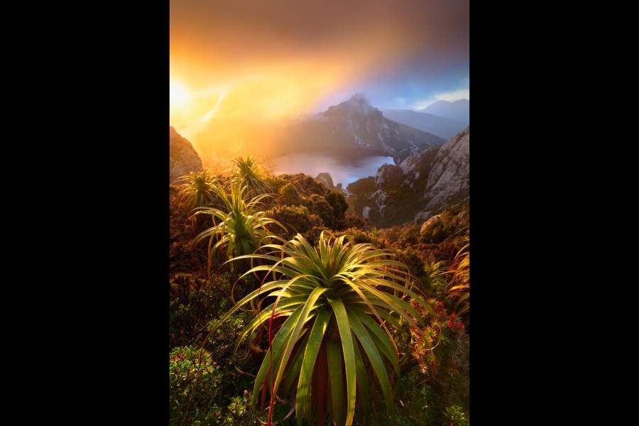 Australian Geographic Nature Photographer