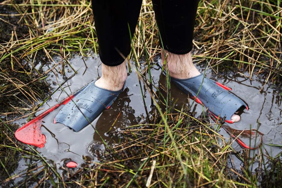 Соревнования по плаванию в болоте