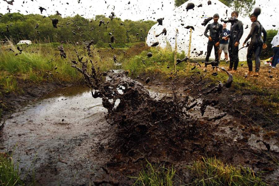 Соревнования по плаванию в болоте