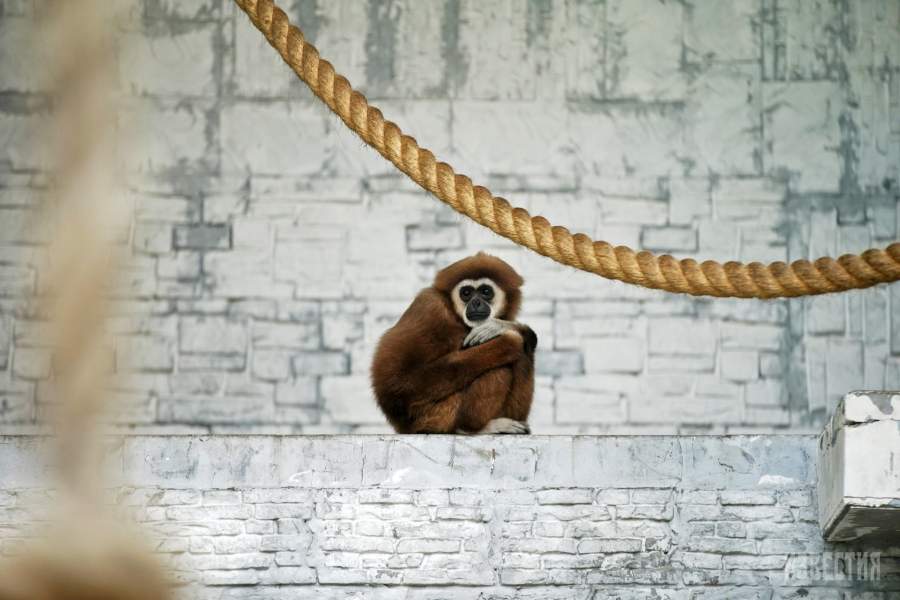 Калининградский зоопарк