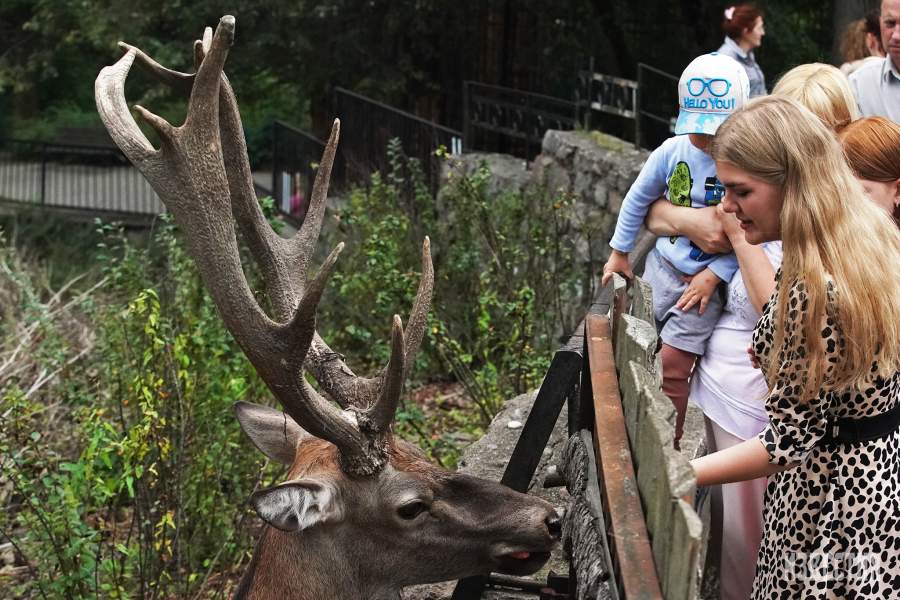Калининградский зоопарк