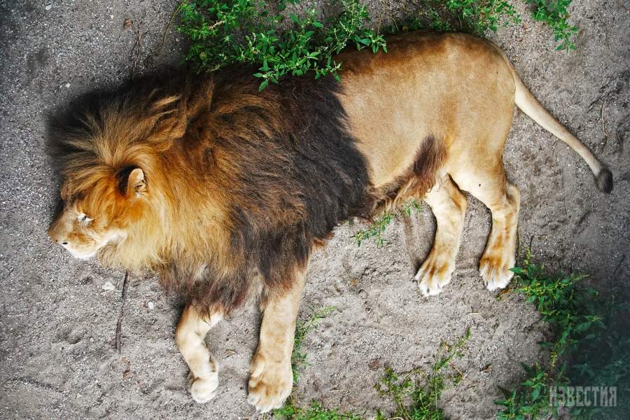 Калининградский зоопарк