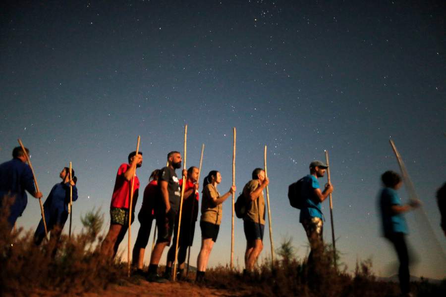 Фламинго в Испании