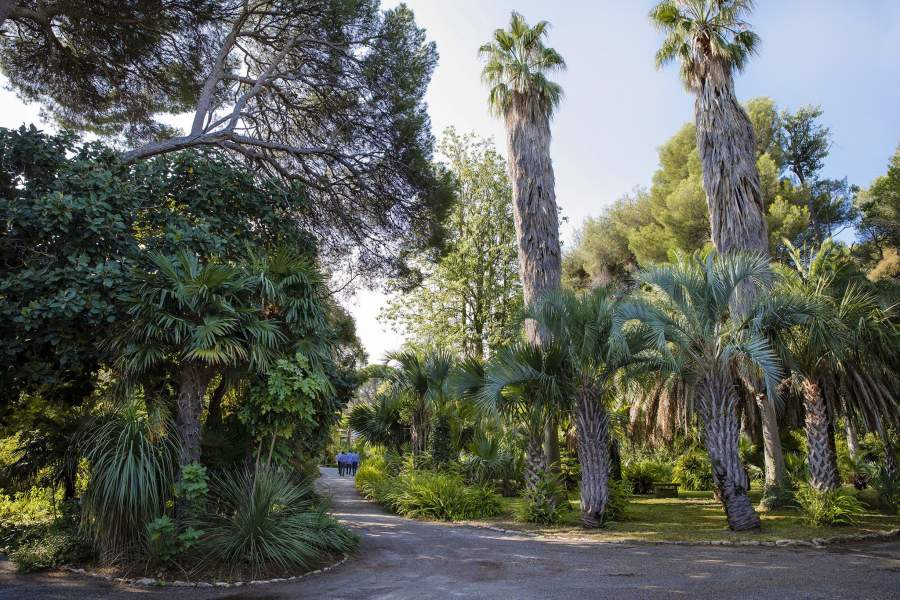 Вилла Les Cèdres