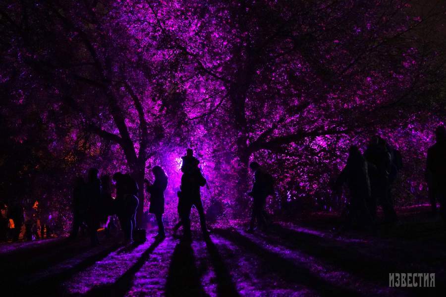 Фестиваль «Круг света»