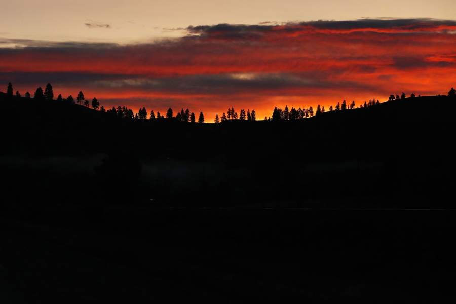 Леса Монтаны