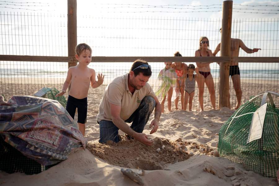 Центр по спасению черепах в Израиле