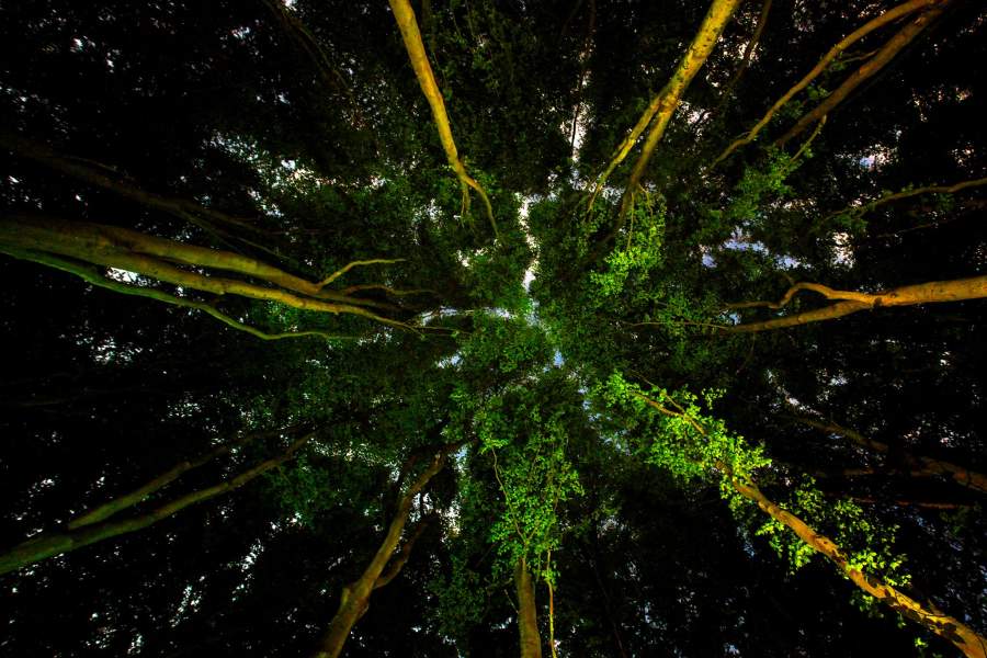 Международный конкурс на лучшее фото окружающей среды