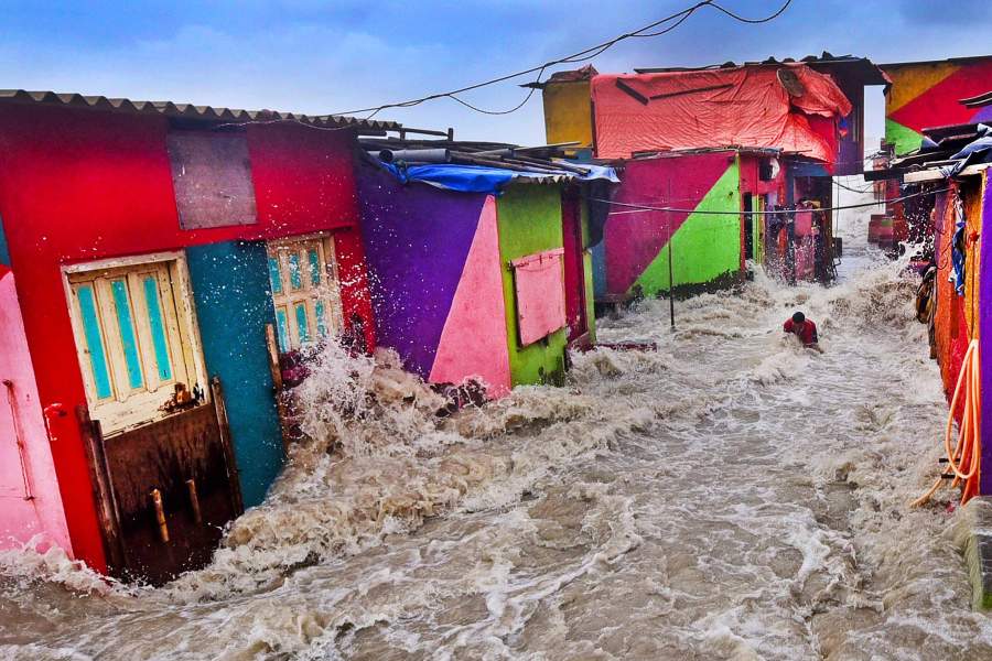 Международный конкурс на лучшее фото окружающей среды
