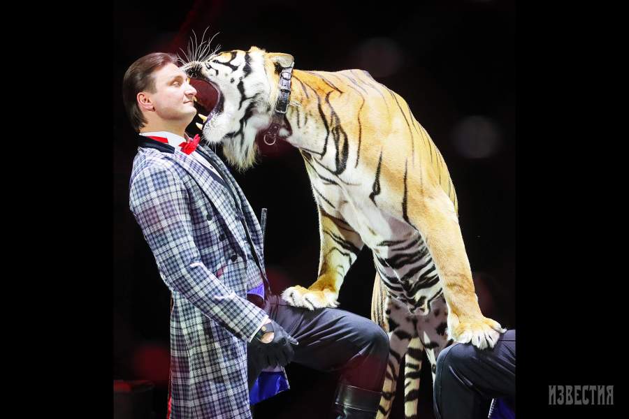 Спектакль «Эпицентр мира» в Большом Московском цирке