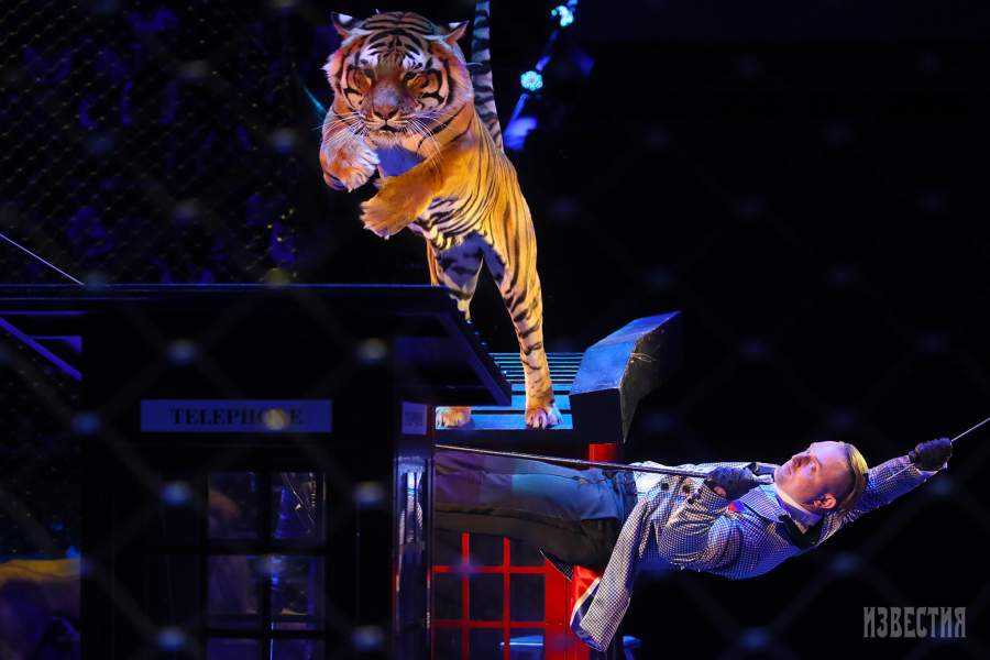 Спектакль «Эпицентр мира» в Большом Московском цирке