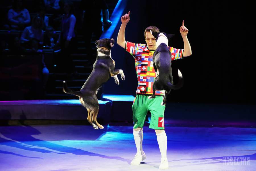 Спектакль «Эпицентр мира» в Большом Московском цирке