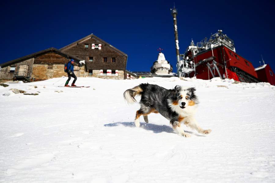 Глобальное потепление в Австрии
