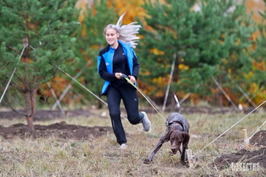 Благотворительный забег «Быстрый пес»