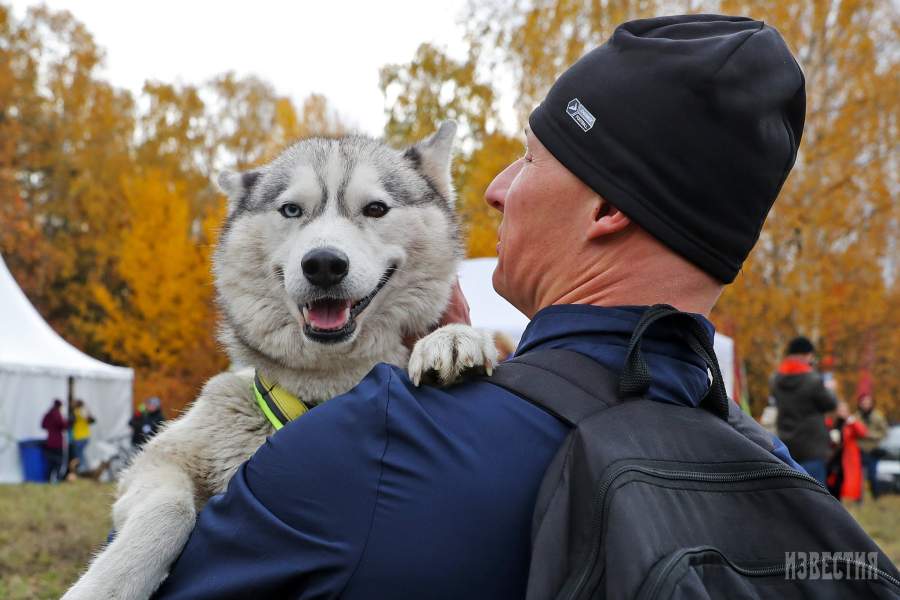 Благотворительный забег «Быстрый пес»