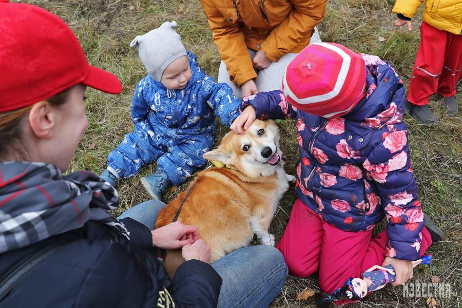 Благотворительный забег «Быстрый пес»