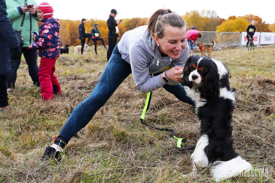 Благотворительный забег «Быстрый пес»
