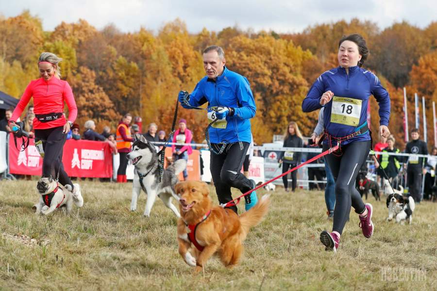 Благотворительный забег «Быстрый пес»