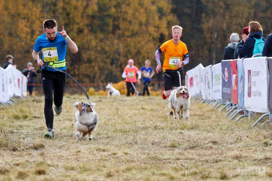 Благотворительный забег «Быстрый пес»