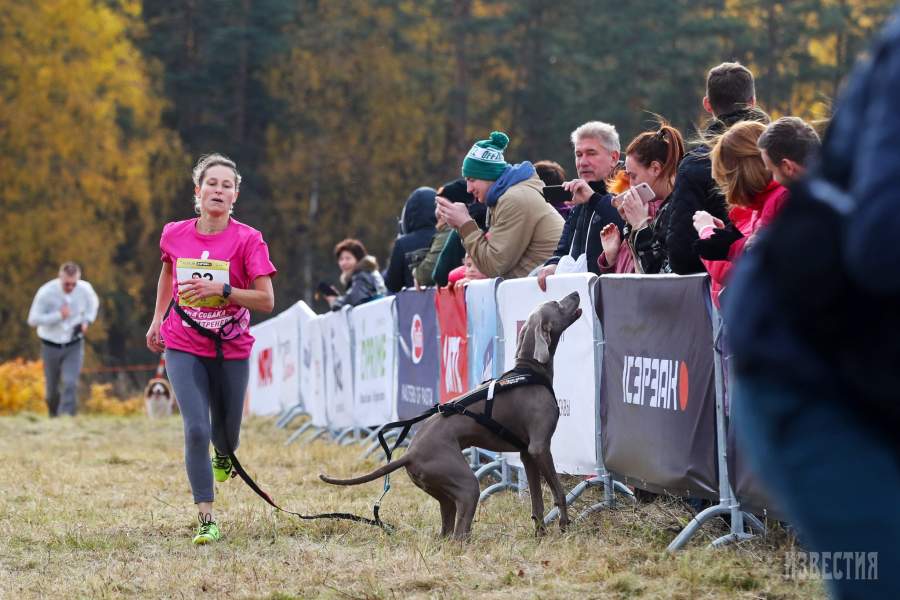 Благотворительный забег «Быстрый пес»