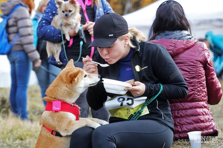 Благотворительный забег «Быстрый пес»