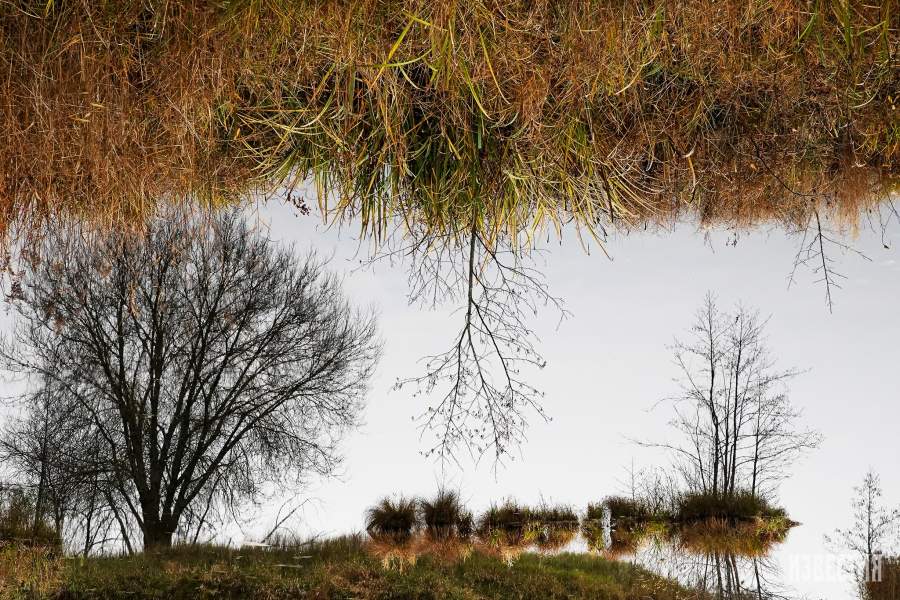 Парк Лосиный остров