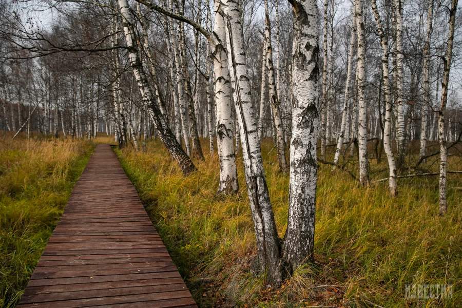 Парк Лосиный остров