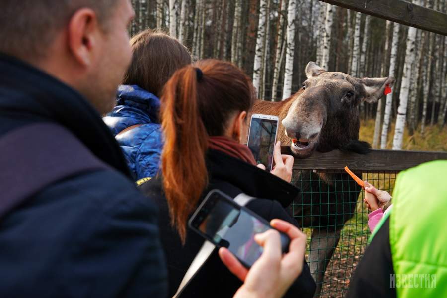 Национальный парк Лосиный остров в Московской области