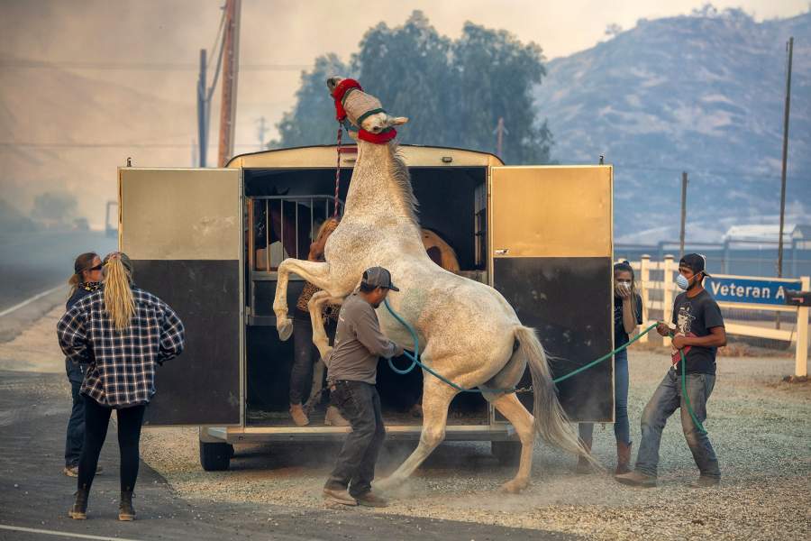 Лесные пожары в Калифорнии